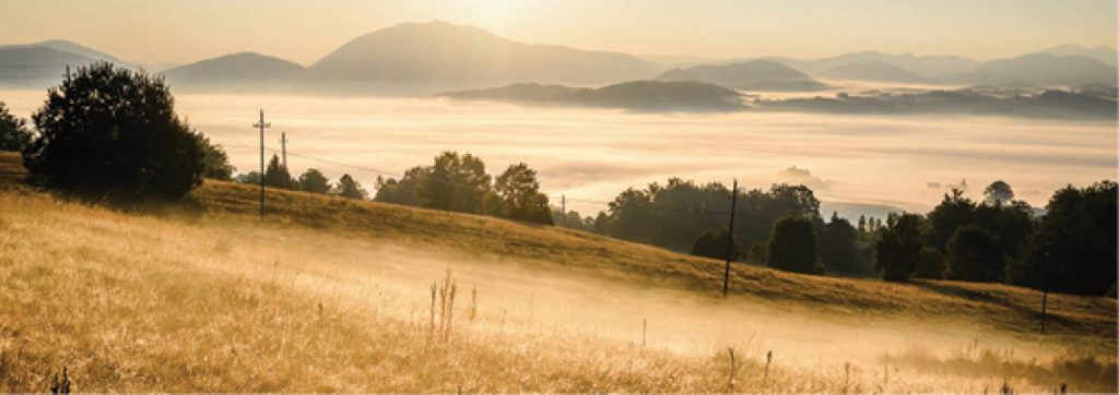 Australia’s economy remained under pressure in October with a surprise bump in inflation, dampening hopes of a rate cut and prompting some economists to predict the next move in interest rates may...