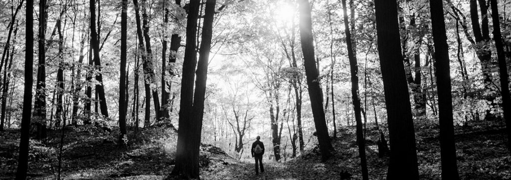 March has arrived, and with that the weather starts to cool; this brings a fresh chapter and a chance to set your pace for the months ahead. February delivered mixed signals for the Australian...